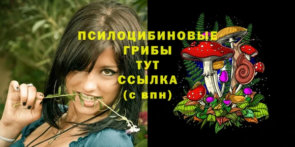 прущий лед Медногорск