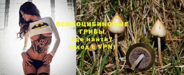 spice Магадан