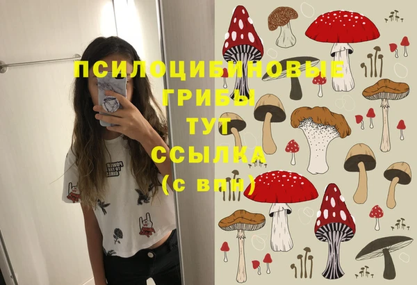 прущий лед Медногорск