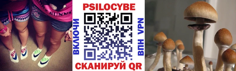 Псилоцибиновые грибы GOLDEN TEACHER  Узловая 
